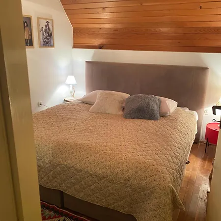 Jozin Put -planinska Kuca Chalet Blidinje