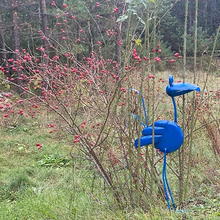 Jozin Put -planinska Kuca Blidinje
