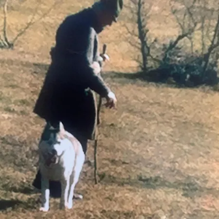 Jozin Put -planinska Kuca * Blidinje