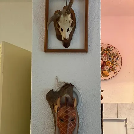 شاليه Jozin Put -planinska Kuca