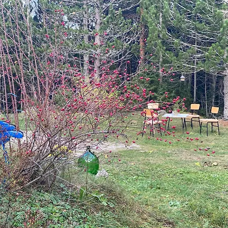 Jozin Put -planinska Kuca